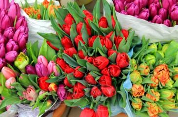 Цветочный отдел с высокой проходимостью